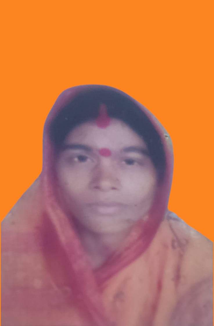 SARASWOTI TEDU