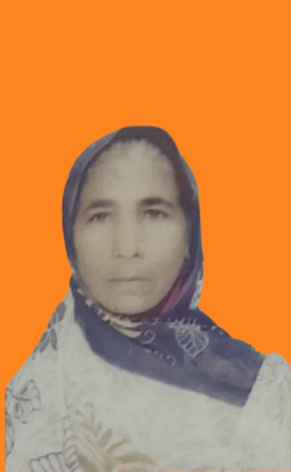 Anuaari Bibi