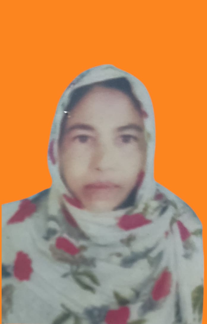Jaigun Bib